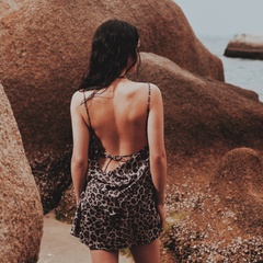 Thalictrum (Leopard)