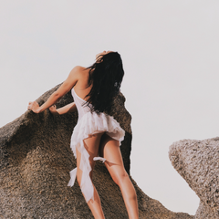 Brugmansia Eclipse (White)